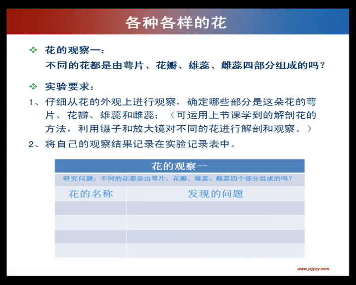 教科版科学四下《各种各样的花》江西童老师-全国一等奖