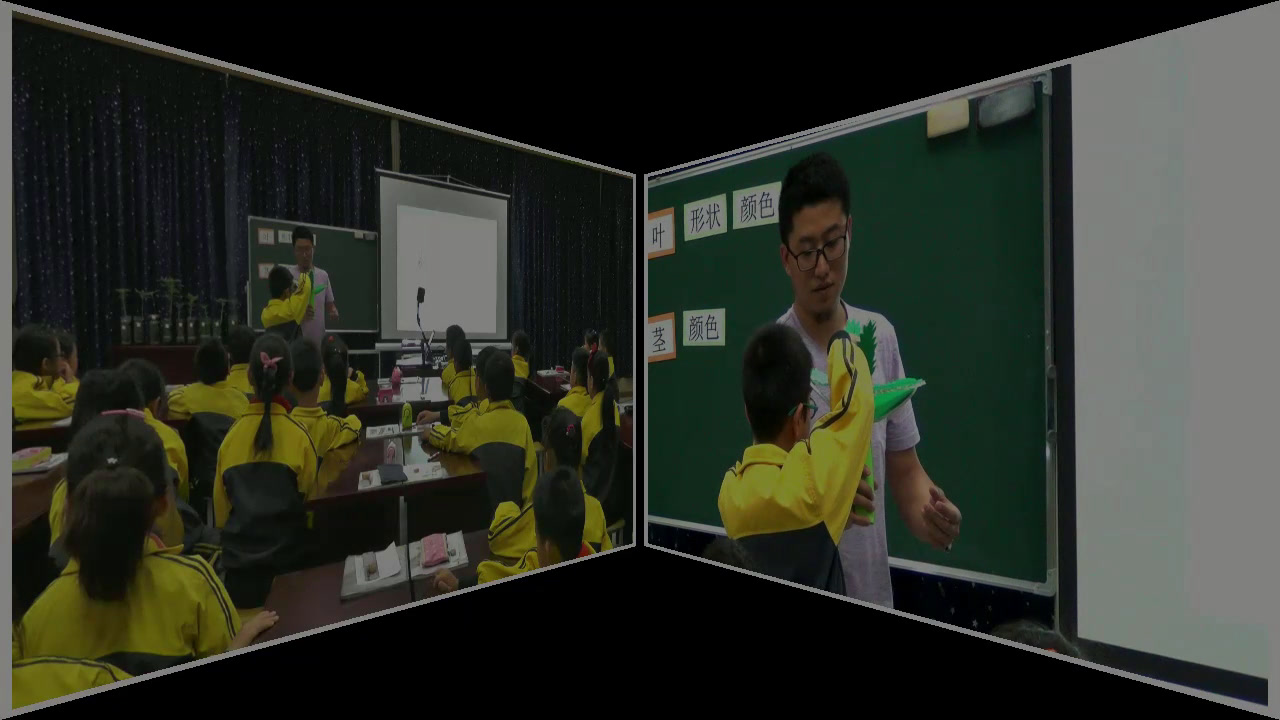 教科版科学三下《种子变成了幼苗》浙江曹老师-全国一等奖