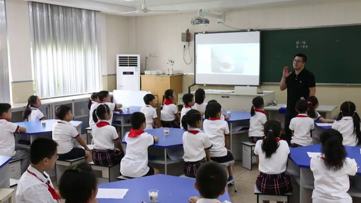 教科版科学三下《我们先看到了根》浙江李老师-全国一等奖