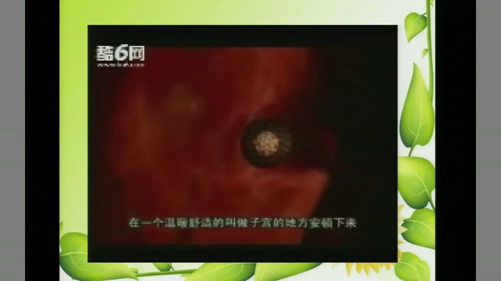 教科版科学三下《我们的生命周期》云南江老师-省一等奖