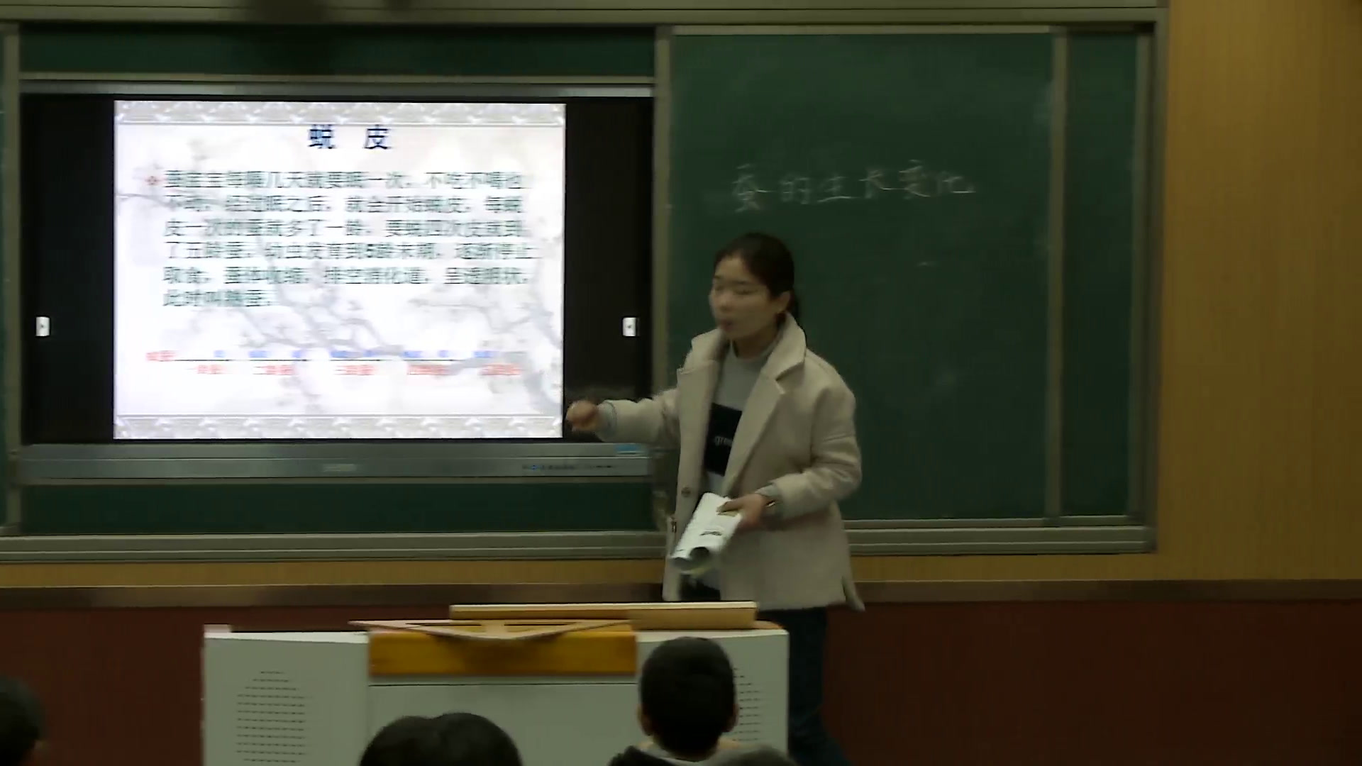 教科版科学三下《蚕的生长变化》安徽老师-市一等奖
