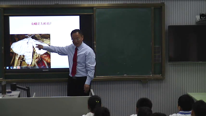 教科版科学三下《蛹变成了什么》安徽段老师-市一等奖