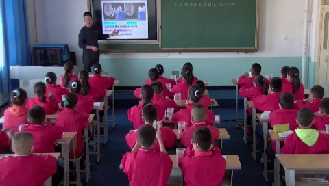 教科版科学五下《物体在水中是沉还是浮》新疆李老师-省一等奖