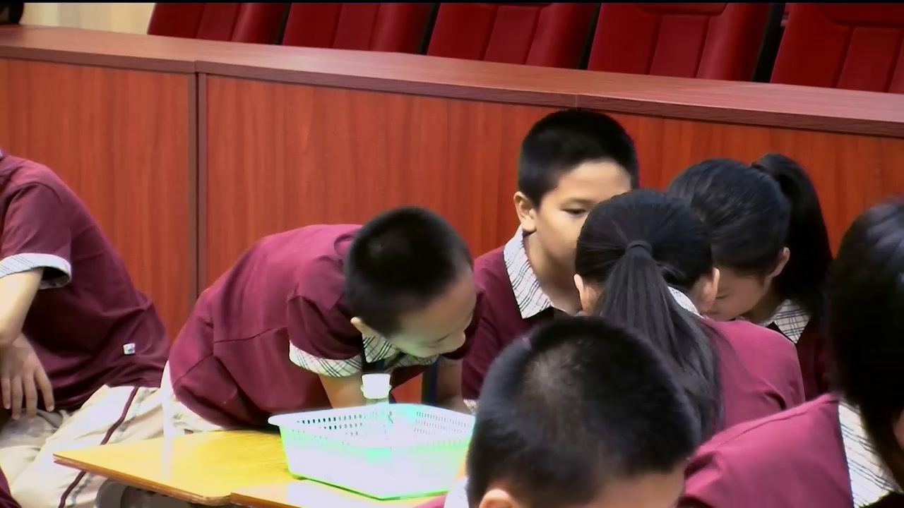 教科版科学六下《小苏打和白醋的变化》广东李老师-全国一等奖