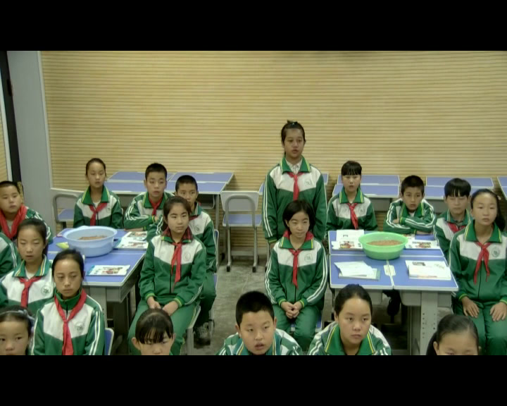 教科版科学六下《我们来造“环形山”》宁夏白老师-市一等奖