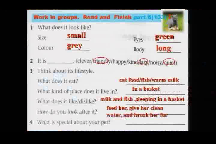 牛津译林版英语七下《Task：My favourite pet》江苏胡老师-市一等奖