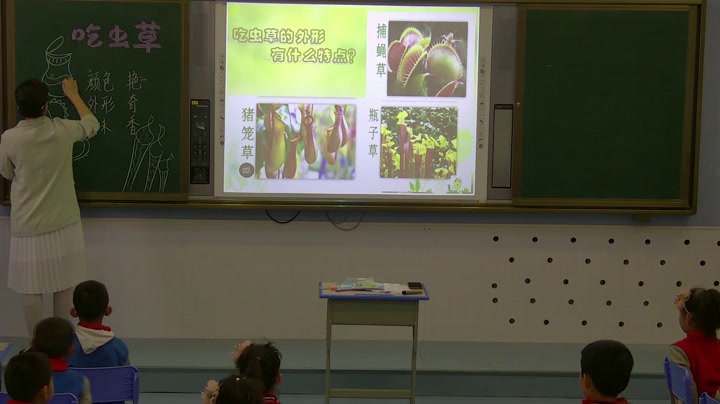 冀美版美术二下《17.吃虫子的植物》吉林谢老师-全国一等奖