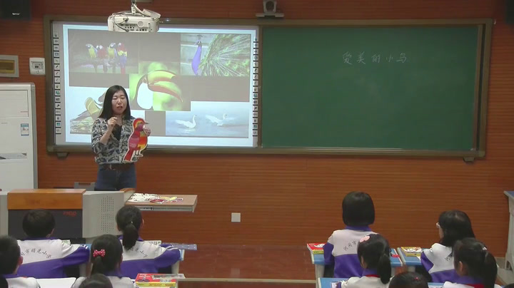 冀美版美术一下《7.美丽的鸟》河北李老师-县级优课