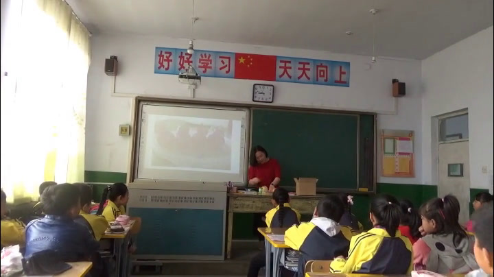 冀美版美术三下《7.蔬果巧造型》河北杨老师-县级优课