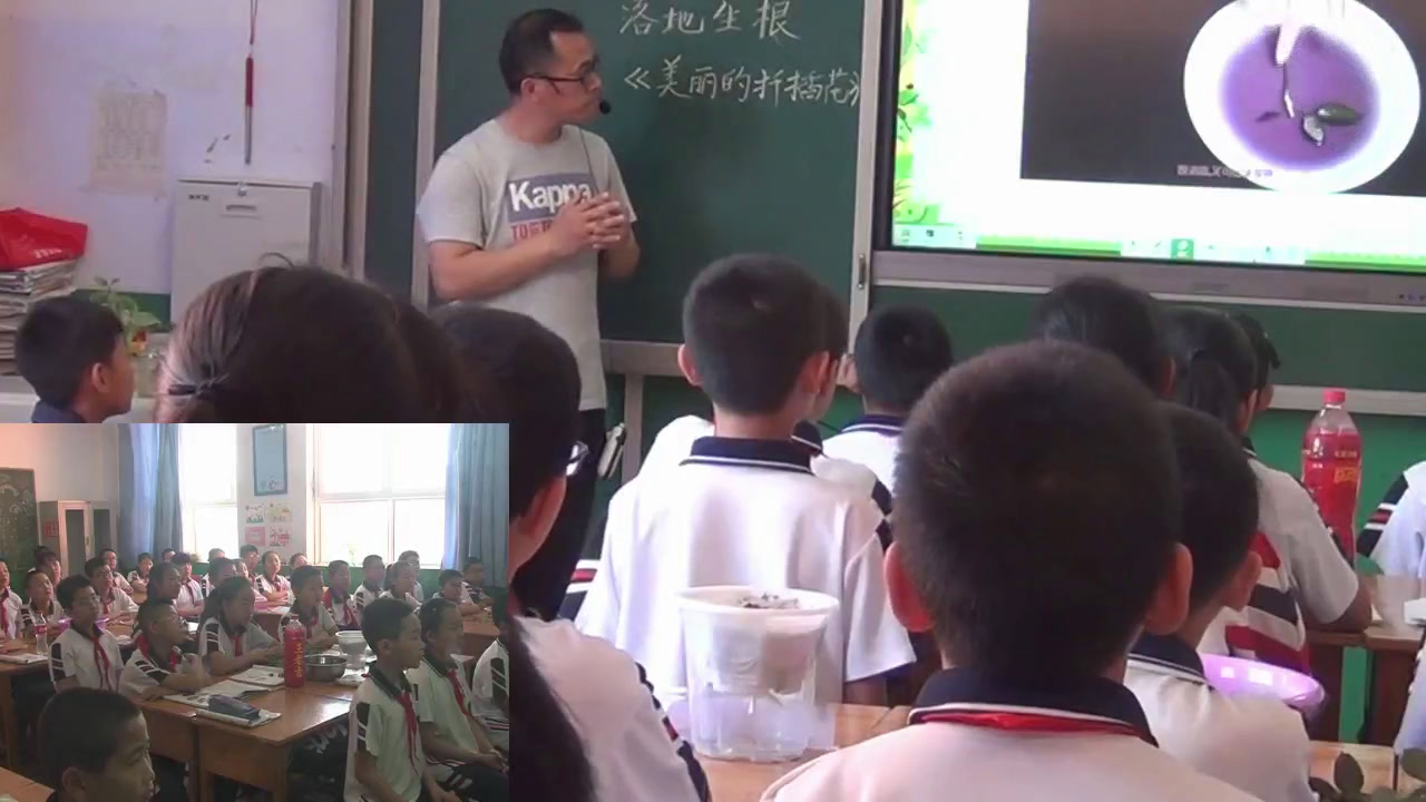 冀人2001版科学五下《7落地生根》河北段老师-全国一等奖