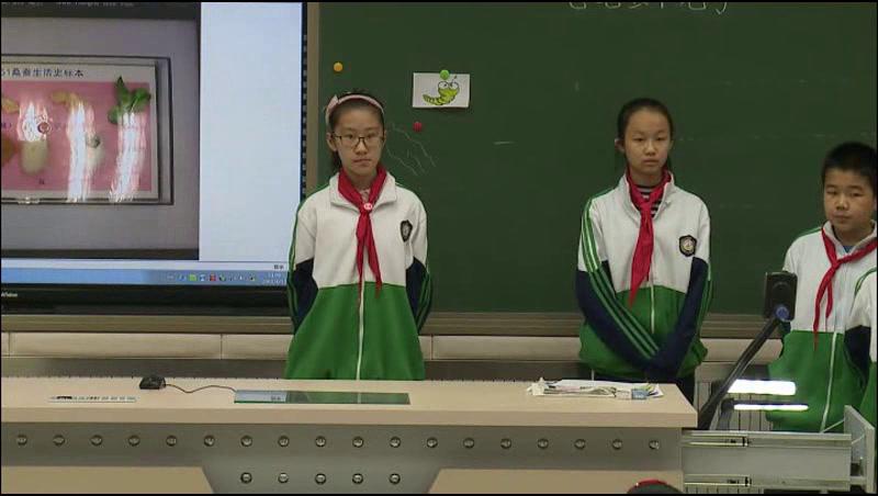 冀人2001版科学四下《15毛毛虫不见了》河北孙老师-市一等奖