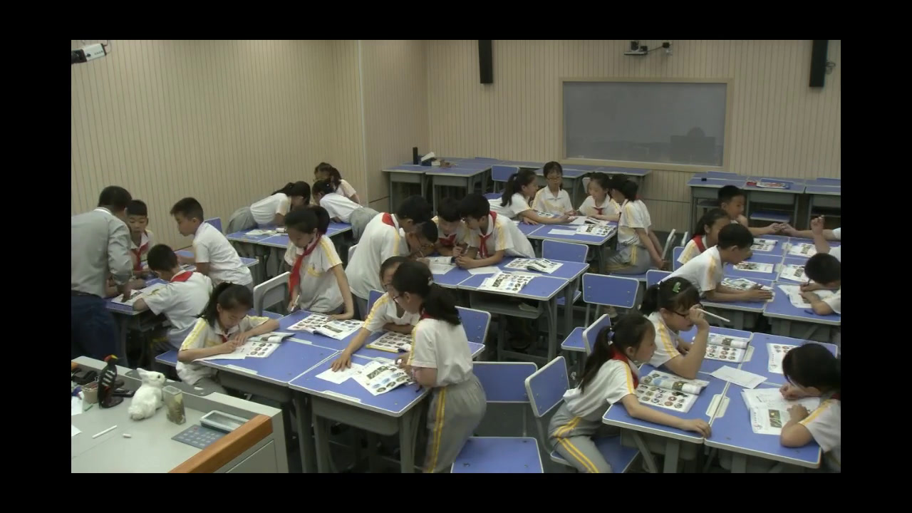 冀人2001版科学五下《6小鸟和小猫》河北郭老师-市一等奖