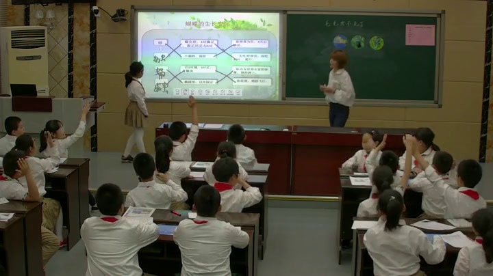 冀人2001版科学四下《15毛毛虫不见了》河北关老师-全国一等奖