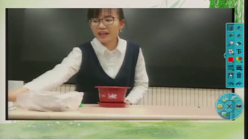 冀人2001版科学四下《11种茄子》河北孔老师-市一等奖