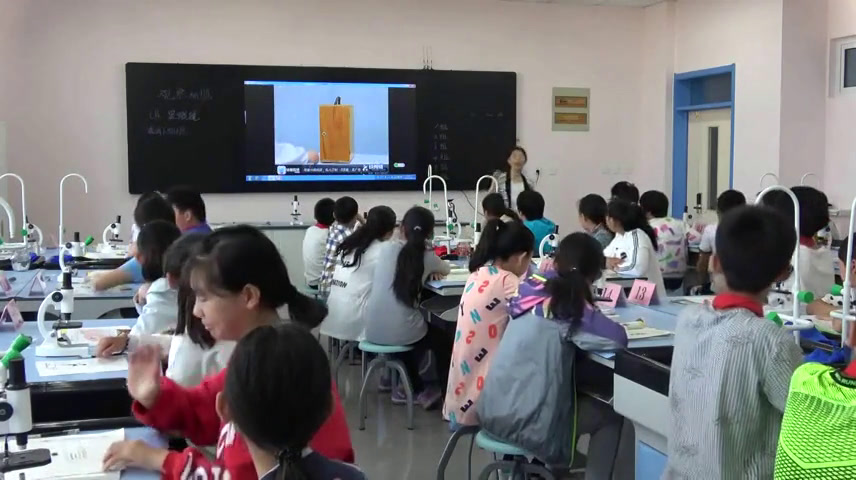冀人2001版科学六下《4人体的组成》河北蔡老师-市一等奖