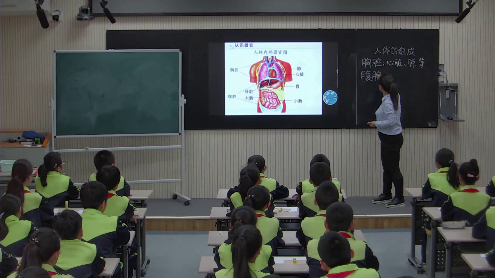 冀人2001版科学六下《4人体的组成》河北陈老师-市一等奖
