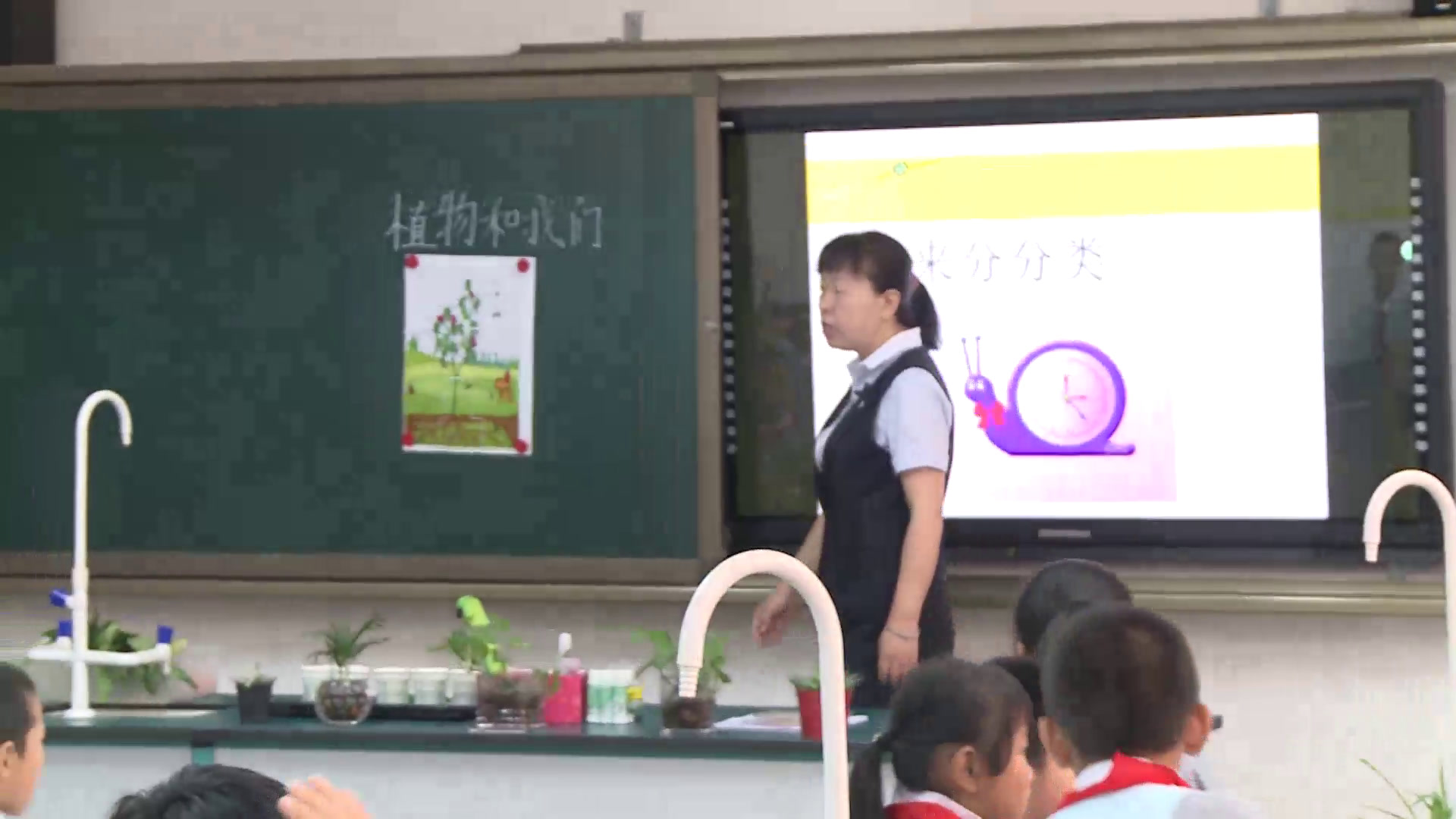 苏教2001版科学三下《4植物和我们》陕西关老师-省一等奖