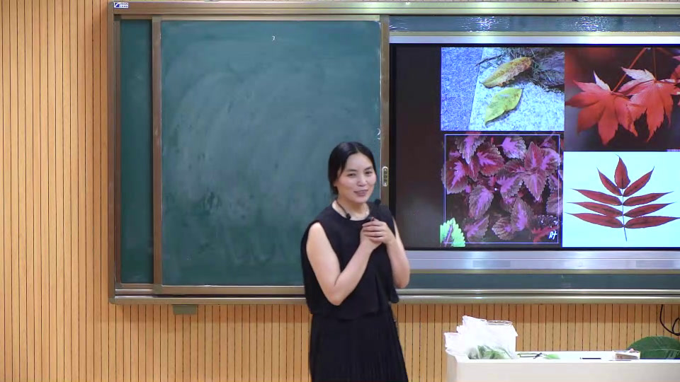苏教2001版科学三下《3叶和花》江苏陈老师-市一等奖