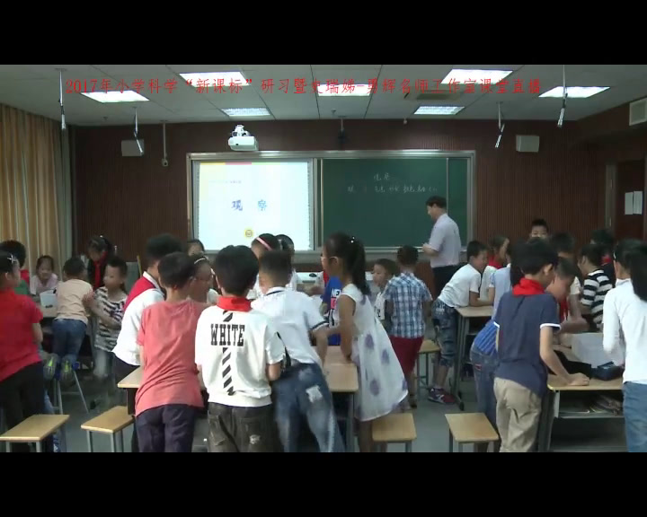 苏教2001版科学三下《1观察》江苏勇老师-市一等奖