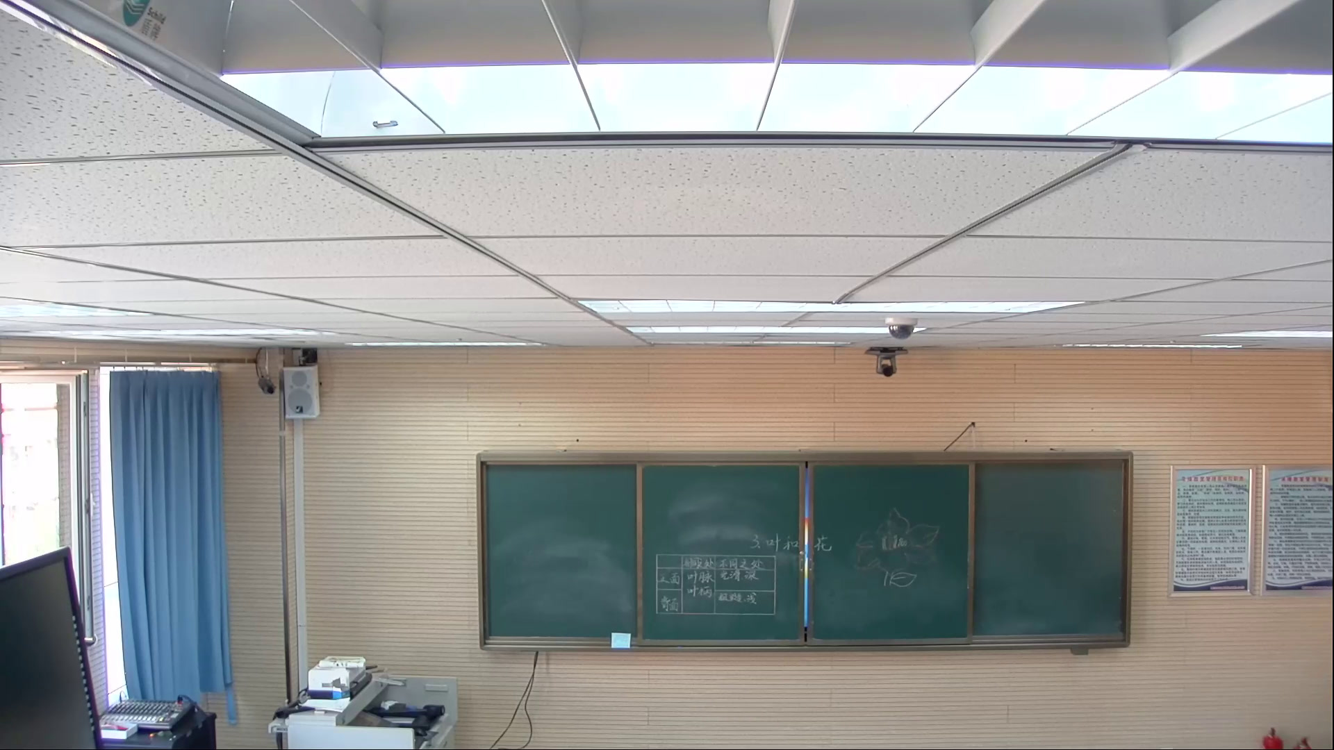 苏教2001版科学三下《3叶和花》内蒙祁老师-市一等奖
