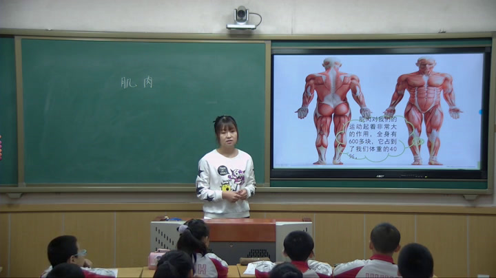 苏教2001版科学四下《3肌肉》辽宁于老师-市一等奖