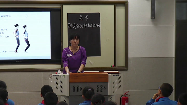苏教2001版科学四下《2关节》新疆王老师-省一等奖
