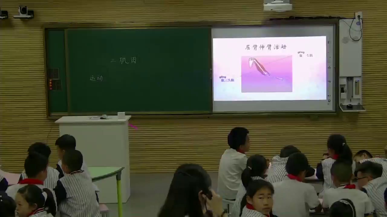 苏教2001版科学四下《3肌肉》辽宁李老师-全国一等奖