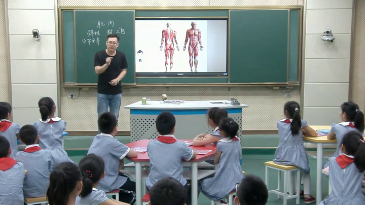 苏教2001版科学四下《3肌肉》湖北王老师-市一等奖