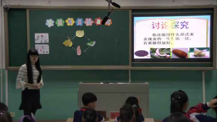 苏教2001版科学四下《4养蚕经验交流会》辽宁胡老师-市一等奖