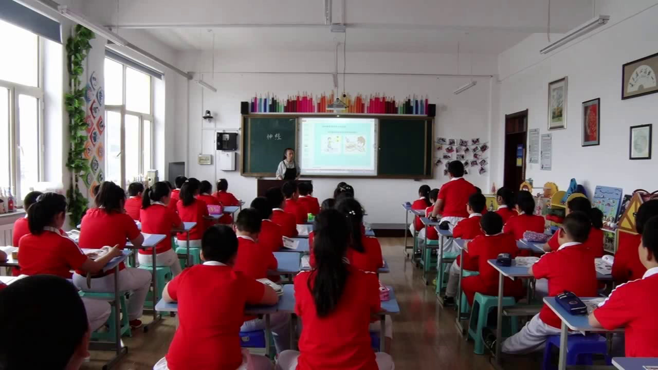 苏教2001版科学五下《2神经》黑龙江陈老师-省一等奖