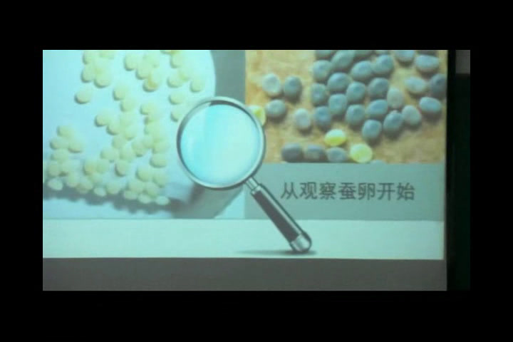 苏教2001版科学四下《1我们来养蚕》湖北邓老师-市一等奖