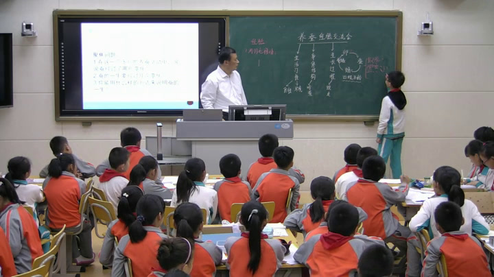 苏教2001版科学四下《4养蚕经验交流会》山东范老师-全国一等奖