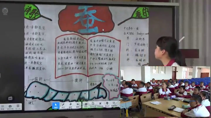 苏教2001版科学四下《4养蚕经验交流会》辽宁臧老师-市一等奖