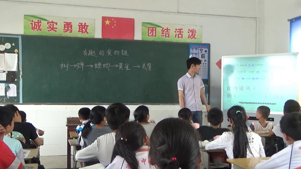苏教2001版科学六下《3有趣的食物链》安徽余老师-市一等奖
