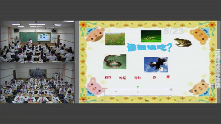 苏教2001版科学六下《3有趣的食物链》辽宁顾老师-市一等奖