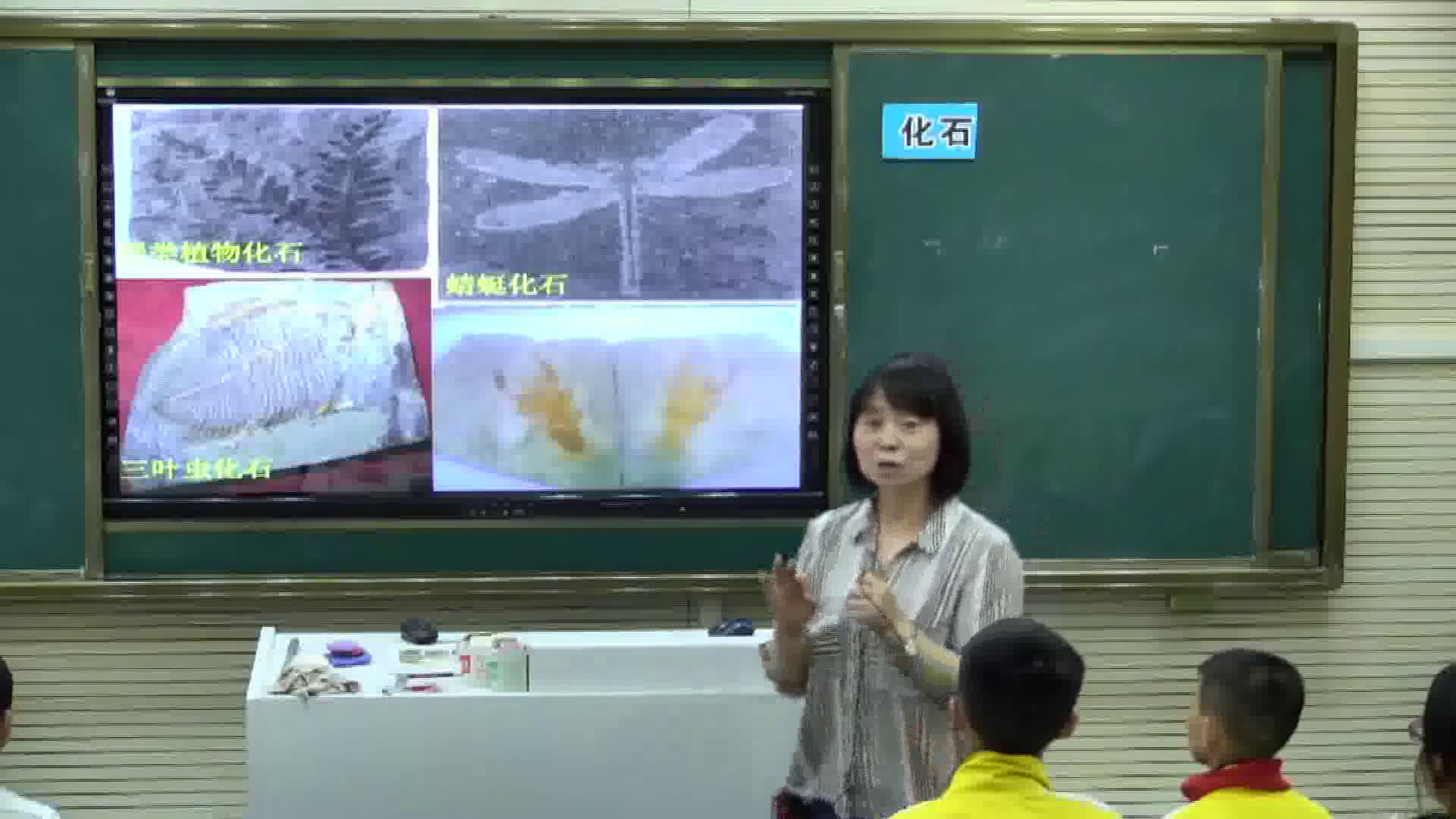 苏教2001版科学六下《2化石告诉我们什么》安徽缪老师-市一等奖
