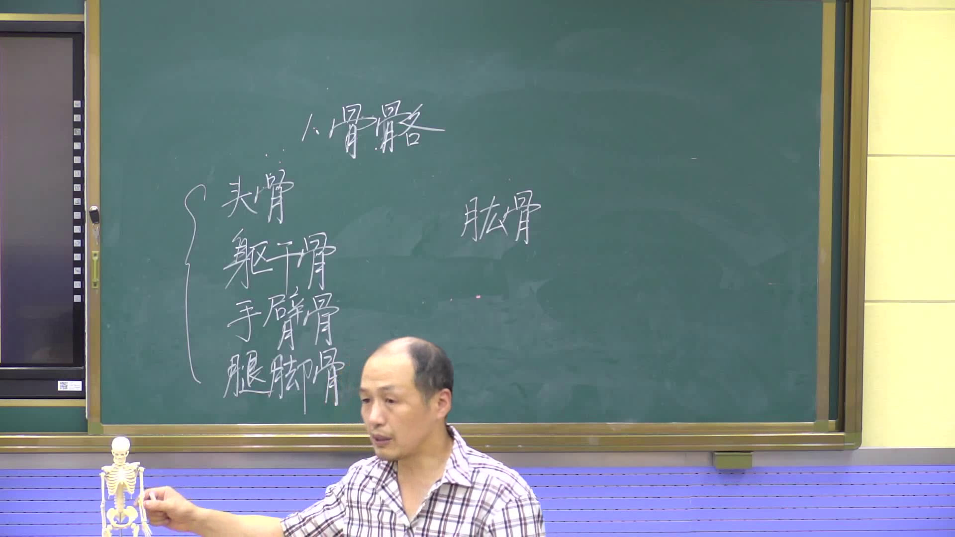 苏教2001版科学四下《1骨骼》安徽王老师-市一等奖