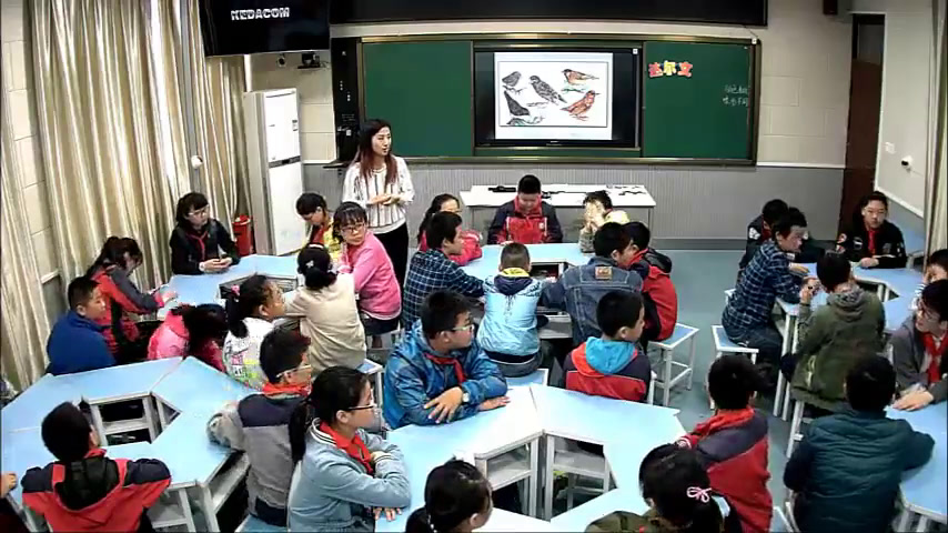 苏教2001版科学六下《3达尔文与他的“进化论”》江苏周老师-全国一等奖