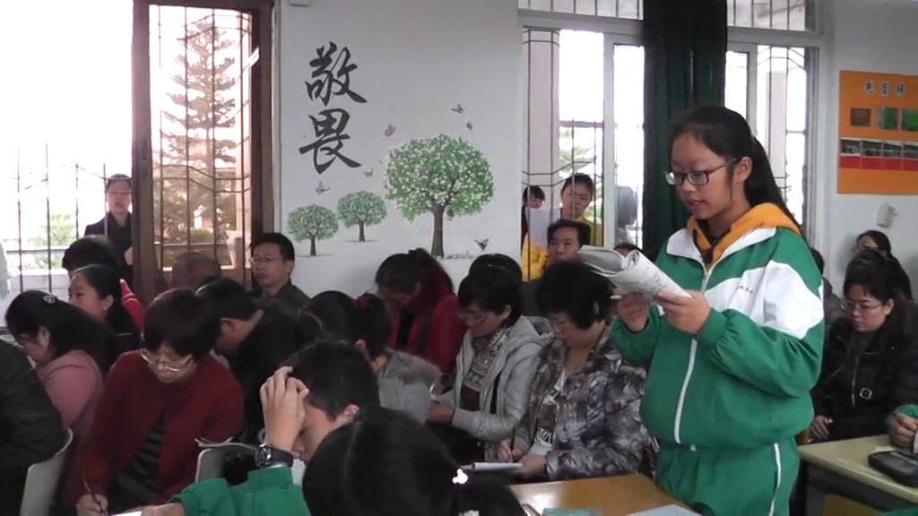 语文2011课标版七下《6美猴王》福建庄老师-全国一等奖