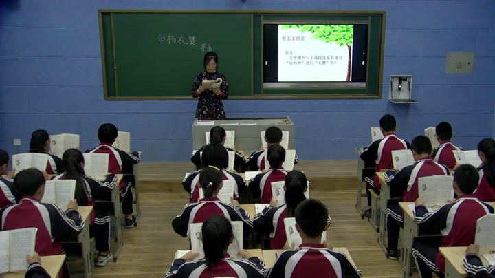 语文2011课标版九下《1.白杨礼赞》辽宁齐老师-市一等奖