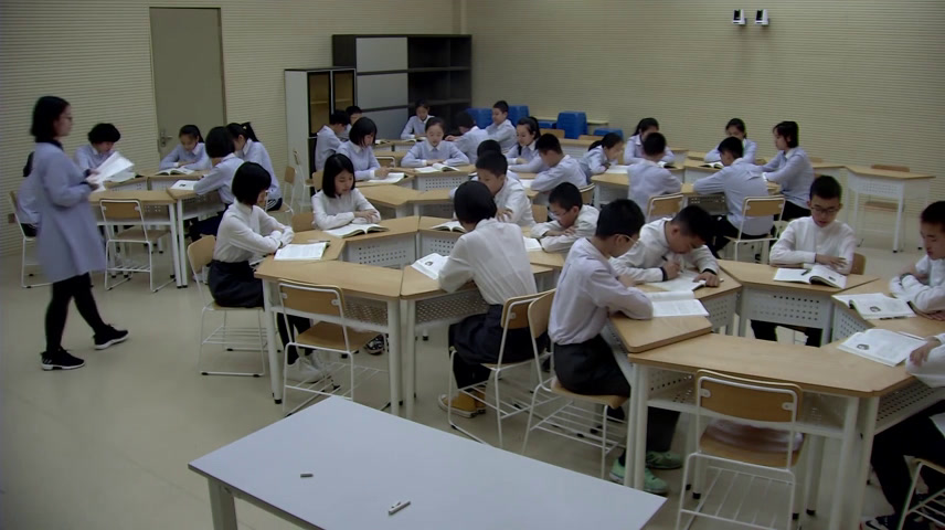 语文2011课标版九下《1.白杨礼赞》辽宁张老师-市一等奖