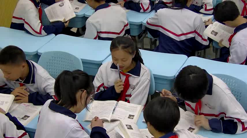 语文2011课标版九下《1.白杨礼赞》山东王老师-全国一等奖