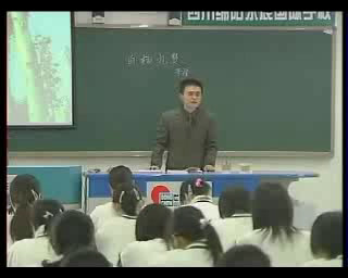 苏教版语文八下《二白杨礼赞》广西江老师-全国一等奖