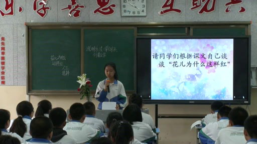 苏教版语文八下《十三花儿为什么这样红》宁夏段老师-全国一等奖