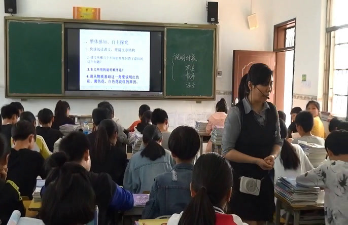 苏教版语文八下《十三花儿为什么这样红》广西赖老师-市一等奖