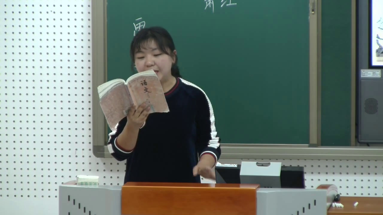 苏教版语文九下《十六呼兰河传（节选）》黑龙江叶老师-县级优课