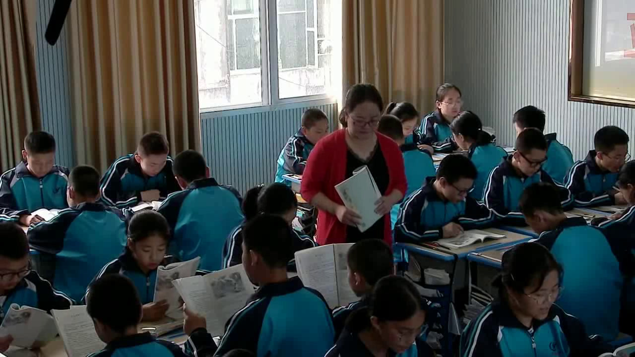 苏教版语文九下《十六呼兰河传（节选）》湖北张老师-县级优课