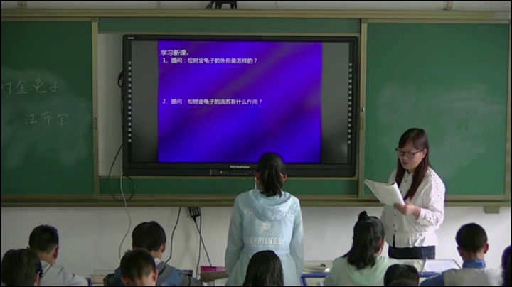 苏教版语文七下《十六松树金龟子（节选）》河南张老师-市一等奖