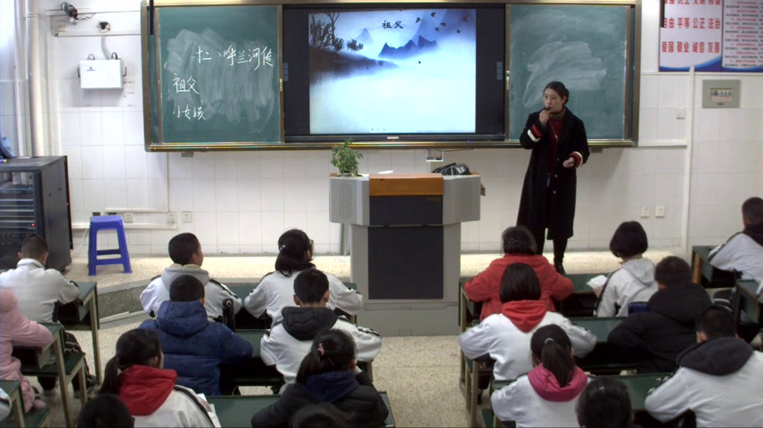苏教版语文九下《十六呼兰河传（节选）》云南杨老师-全国一等奖