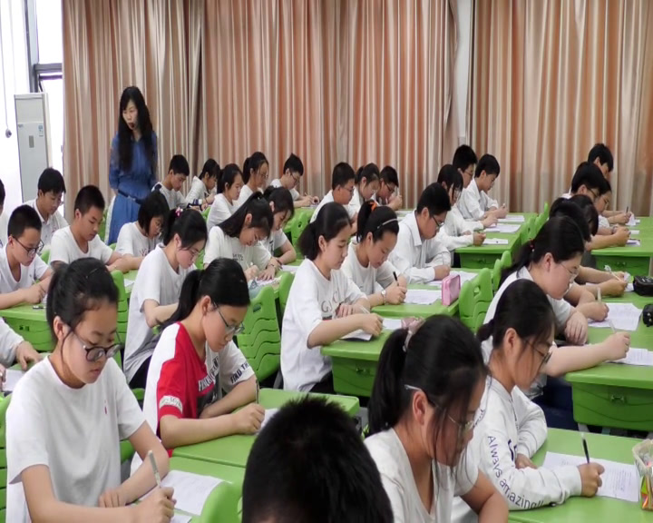 苏教版语文九下《十六呼兰河传（节选）》江苏徐老师-县级优课